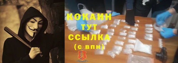 спиды Горняк