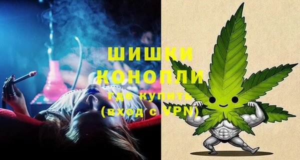 спиды Горняк