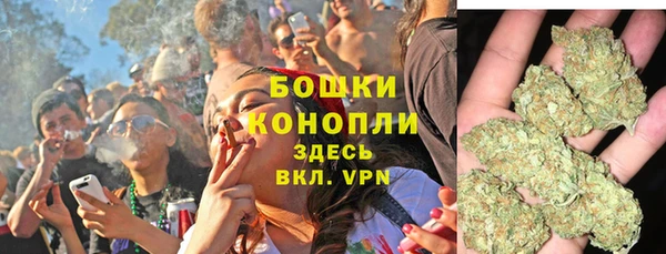 крисы Горнозаводск