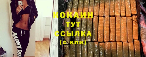 спиды Горняк