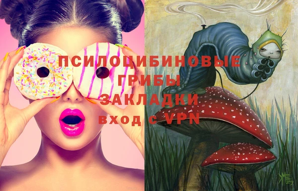 спиды Горняк