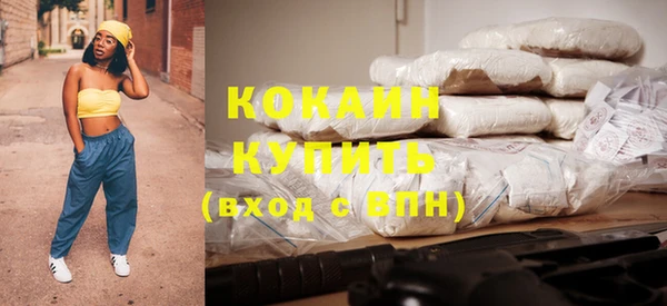 спиды Горняк