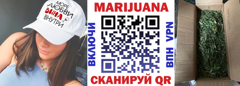 Шишки марихуана сатива  Великий Новгород 